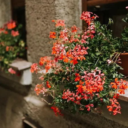 Appartement Art Gallery *