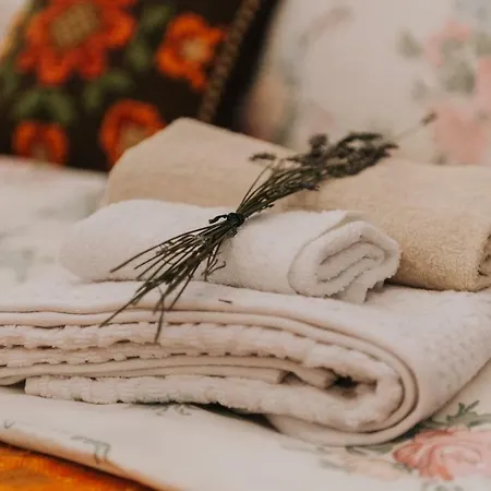 Art Gallery * Braşov