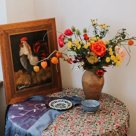 Art Gallery Apartment Brasov