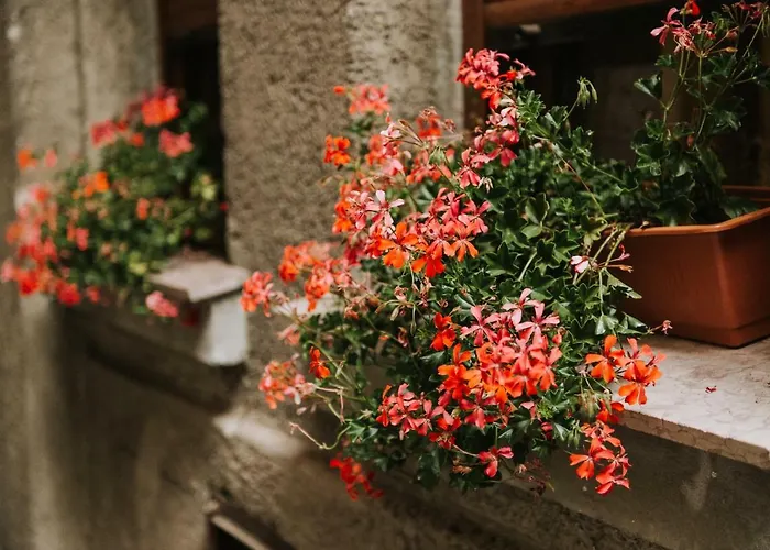 Apartamento Art Gallery *